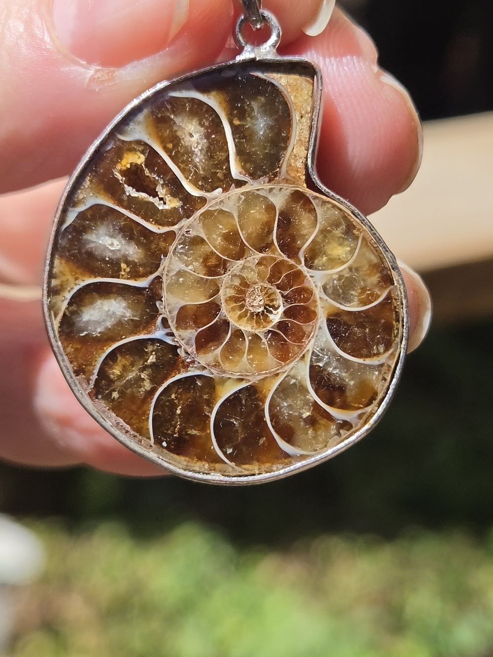 Brown Ammonite Fossil Pendant Necklace - Unbranded